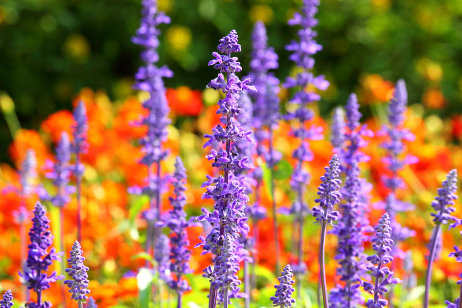 Flower Bed Maintenance Youngsville, LA Acadiana Landscape Materials LLC